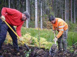 Une nouvelle opération pour reboiser la forêt des Vieilles-Forges